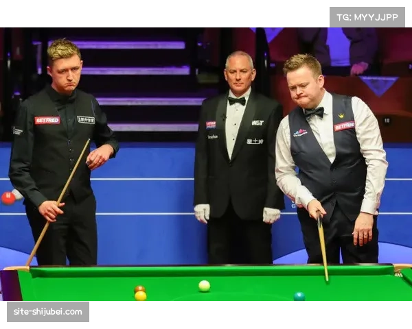 南卡罗来纳大学宣布威尔逊荣膺体育名人堂殊荣